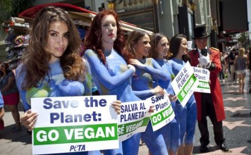 ‘지구 살리자’ 바디페인팅 시위