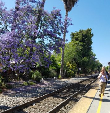 10달러로 즐기는 주말 메트로 여행