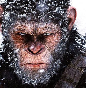 스파이더맨과 유인원의 대결