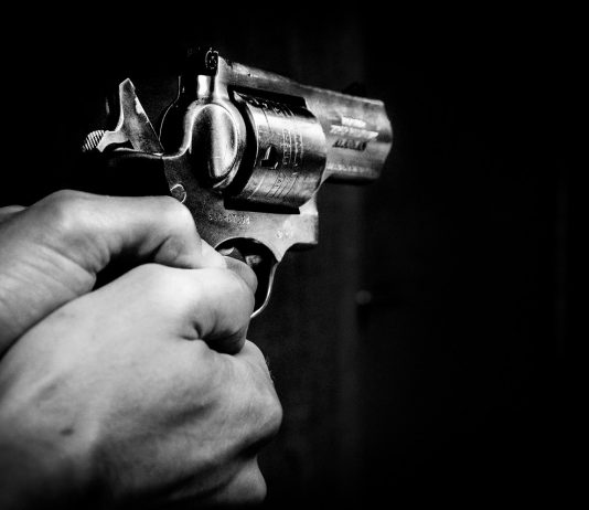 ‘총기’는 우리를 보호할까, 위협할까?