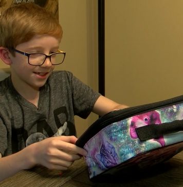 고양이 런치박스 때문에 따돌림 당한 10대 소년