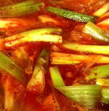 파 듬뿍 환절기 거뜬, 간단 육개장