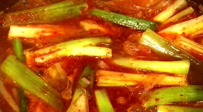 파 듬뿍 환절기 거뜬, 간단 육개장