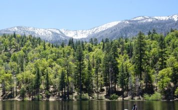 휴식을 취하러 청정 지역 ‘젠스 레이크’로 떠나보자