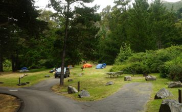 빅서 최고의 캠핑장은 단연 ‘플라스켓 크릭 캠핑장’