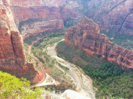 생애 최고의 트레일, 자이언 국립공원 엔젤스 랜딩