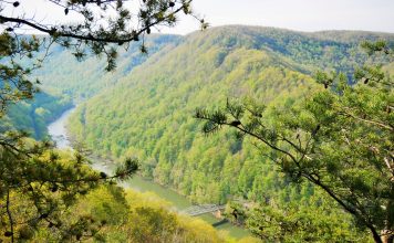 코비드 팬데믹 중에 태어난 보석 ‘뉴리버고지 국립공원’
