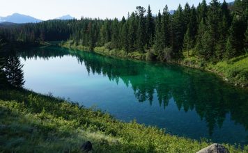 캐나다 재스퍼에서 꼭 봐야 할 자연명소 베스트 7