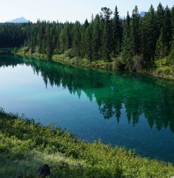 캐나다 재스퍼에서 꼭 봐야 할 자연명소 베스트 7